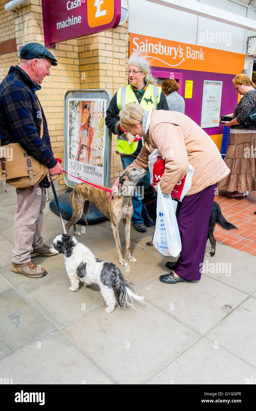 Les personnes avec des chiens pour un chat à Saltburn Farmers Market bénévole collecter de l'argent pour la charité de sauvetage chien SARA Banque D'Images