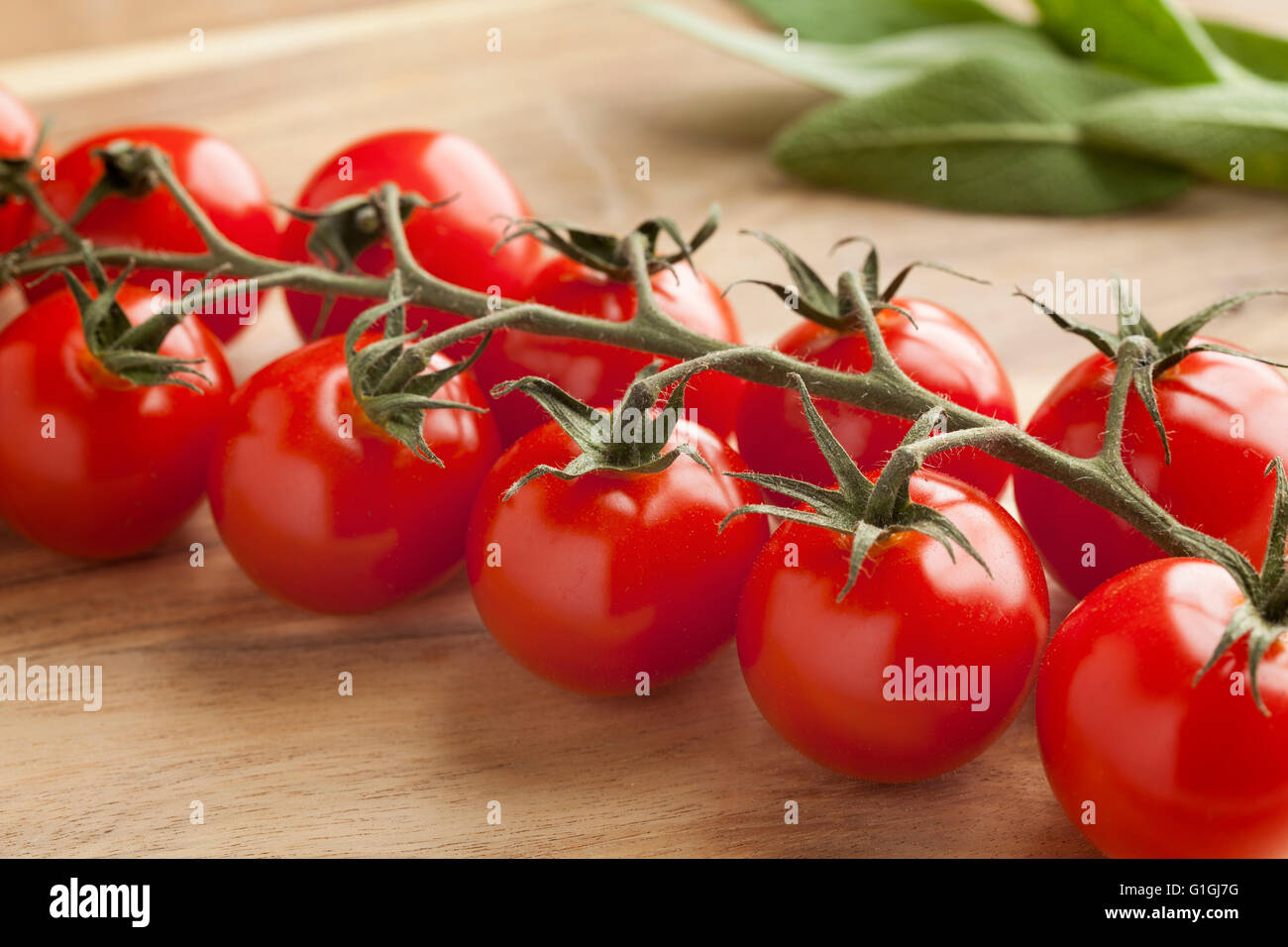 Vine avec tomates cerises rouges frais mûrs Banque D'Images