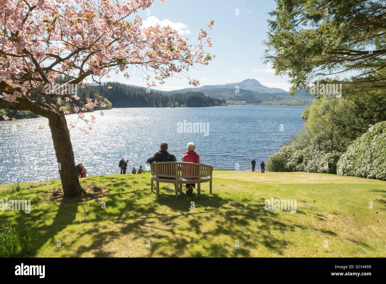 Aberfoyle, Scotland, UK - 15 mai 2016 : UK weather : un beau jour de printemps, lumineux et une vue imprenable sur Ben Lomond Loch Ard et accueilli des visiteurs à Dun Dubh - un jardin ouvert aujourd'hui en vertu de l'Ecosse de jardins. Scotland's Gardens (le jardin National Organisation sœur du Régime) est un organisme de bienfaisance qui recueille des fonds pour les organismes de bienfaisance dignes en facilitant l'ouverture de jardins d'intérêt horticole de toutes tailles dans l'ensemble de l'Ecosse au public. Credit : Kay Roxby/Alamy Live News Banque D'Images