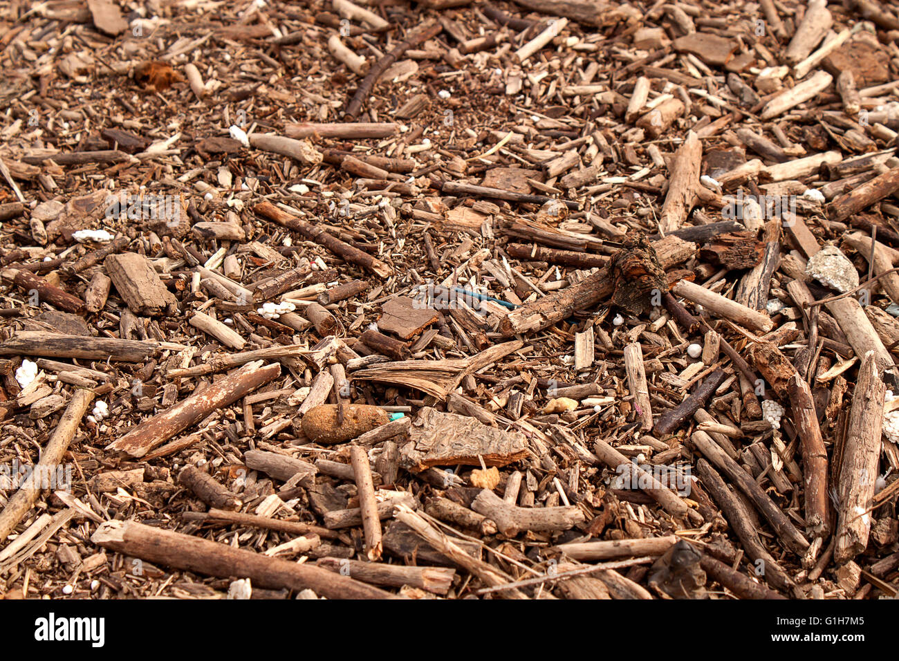 Le paillis d'écorce de bois matériau seamless texture background Banque D'Images