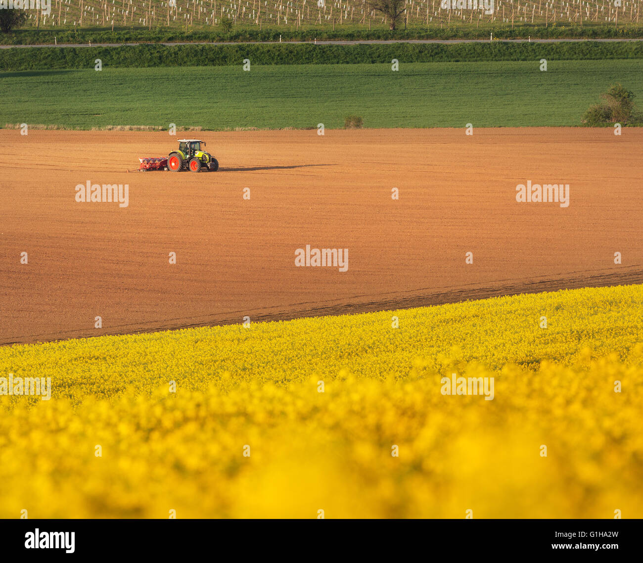 Paysage agricole avec le tracteur laboure un champ brun rayé en Moravie du Sud au coucher du soleil, belle vue sur les collines Banque D'Images