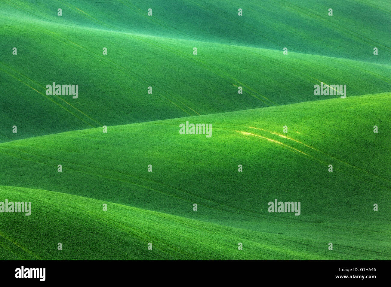 Conte fantastique paysage minimaliste avec des champs verts le matin dans le sud de la Moravie, en République tchèque. Vagues hills Banque D'Images