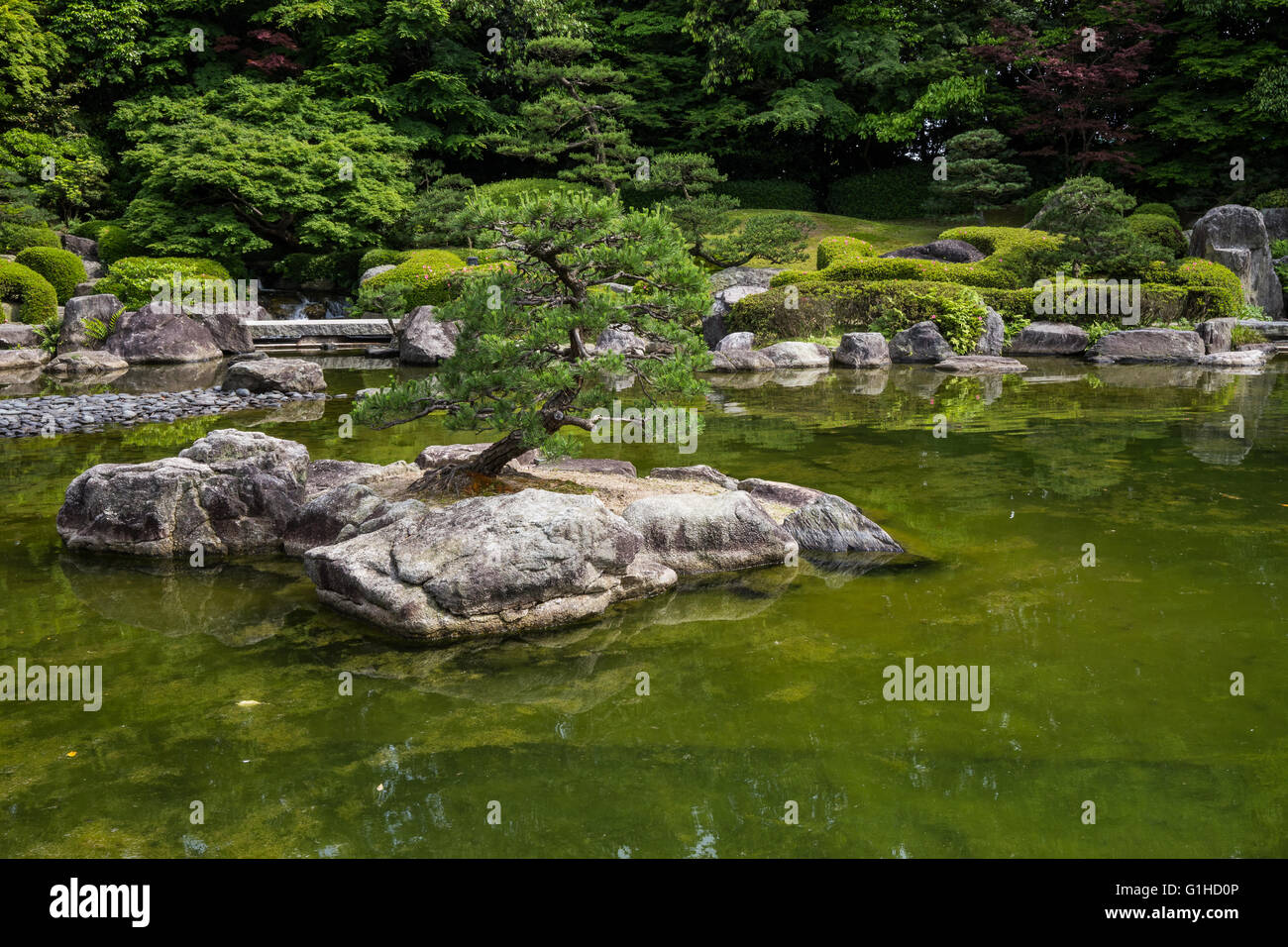 Le Fukuoka Ohori jardin promenade japonais est composé de collines, arbres oliviers et des étangs. Banque D'Images