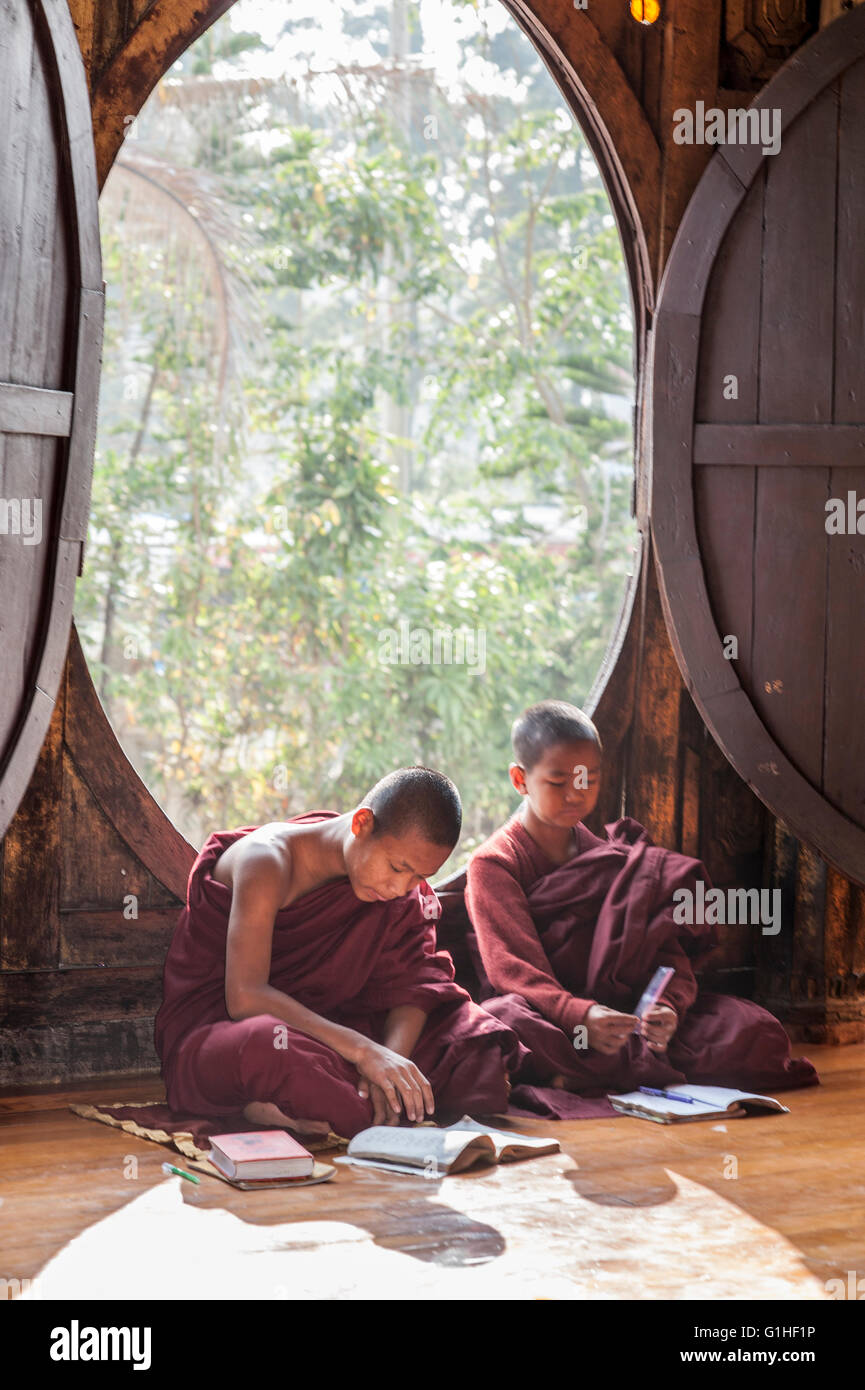 Deux jeunes moines bouddhistes en rouge une robe bouddhiste devant une fenêtre ouverte, l'étude des livres saints dans un temple bouddhiste. Banque D'Images