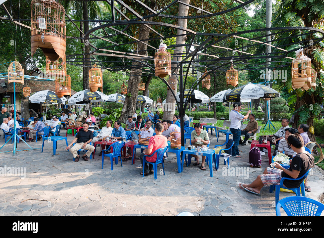 Les membres d'un club d'amateurs d'oiseaux avec leurs oiseaux chanteurs dans un café, Ho Chi Minh City, Vietnam Banque D'Images Les membres d'un club d'amateurs d'oiseaux avec leurs oiseaux chanteurs dans un café, Ho Chi Minh City, Vietnam Banque D'Images