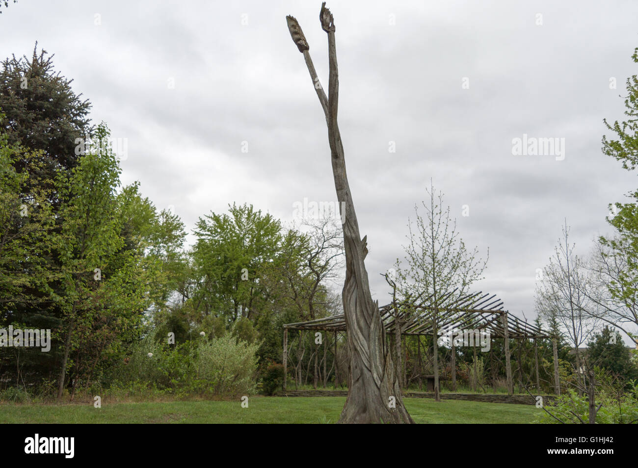Wicked, arbre tordu se dresse au milieu d'une forêt à proximité d'une structure en bois sorcières sur un jour nuageux Banque D'Images