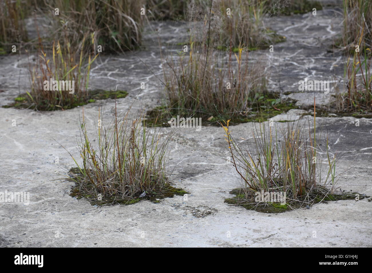 De plus en plus creux poufs des trous dans le sol en béton. Banque D'Images