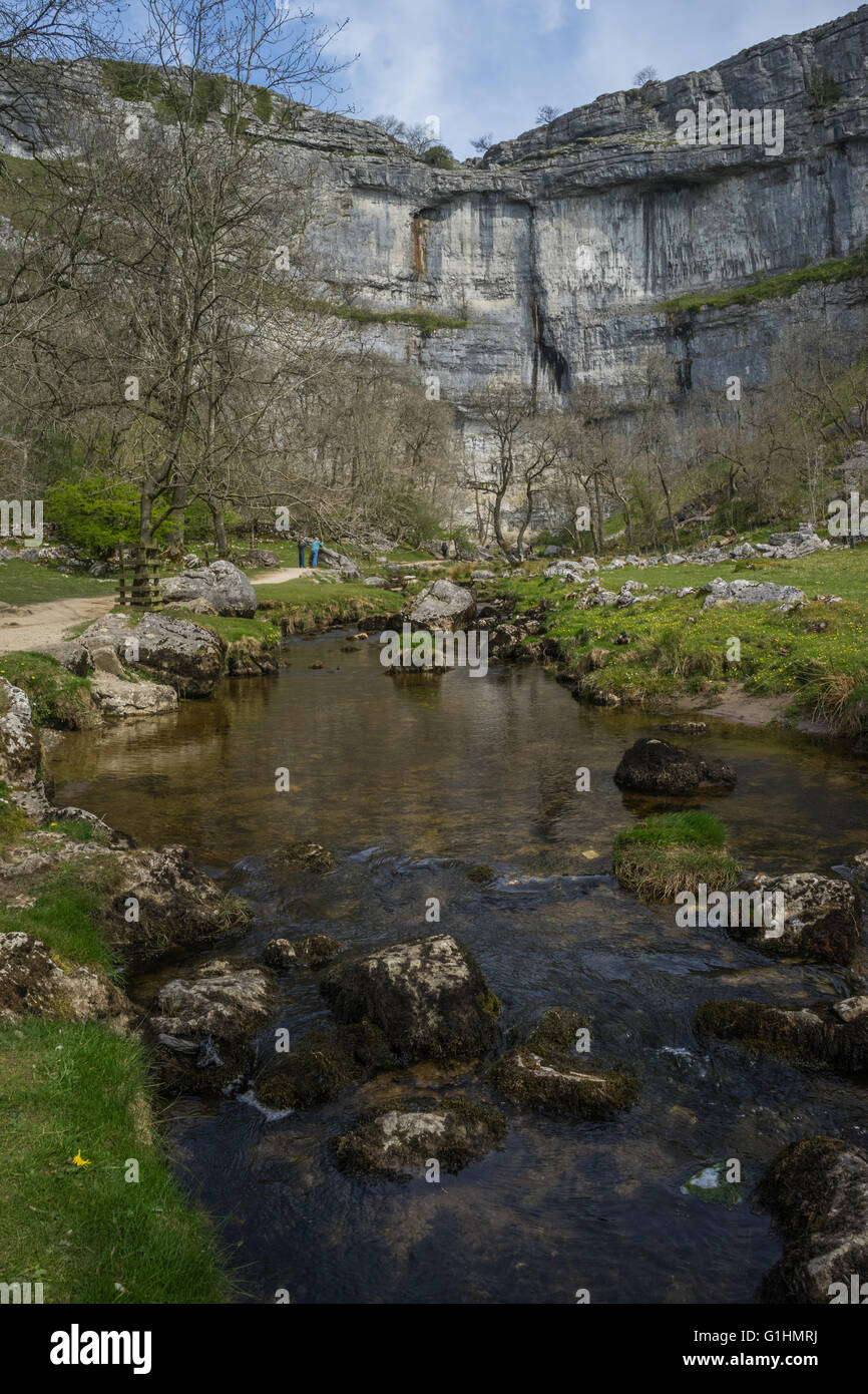 La gloire de Malham Cove, montrant le ruisseau qui s'écoule à partir de la base de la roche calcaire. Banque D'Images