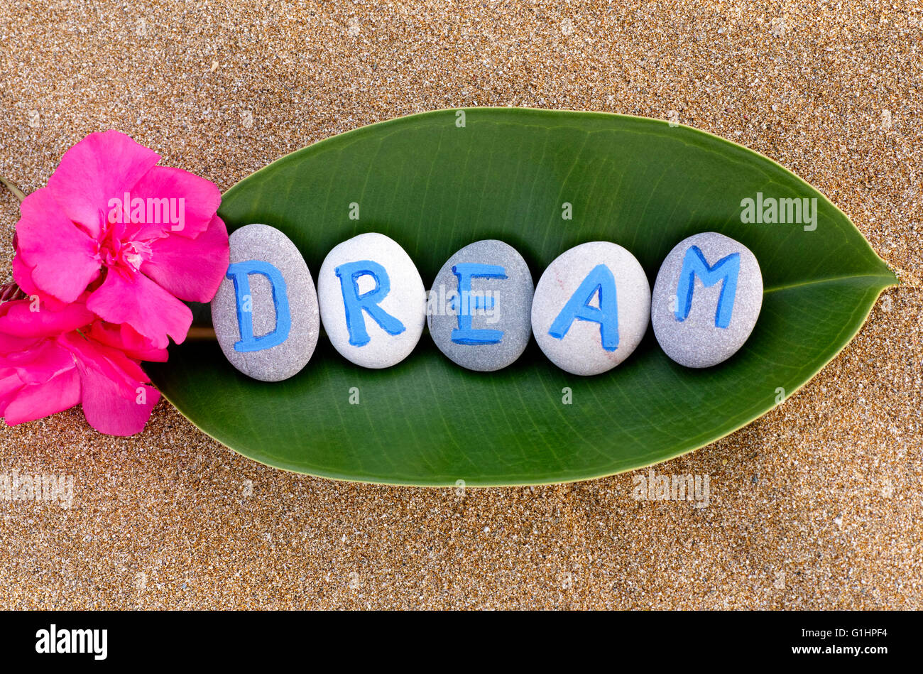 Mot orthographe de rêve à partir de pierres avec lettres en vert feuille avec des fleurs sur le sable de la mer. Lettres dessiné par moi Banque D'Images