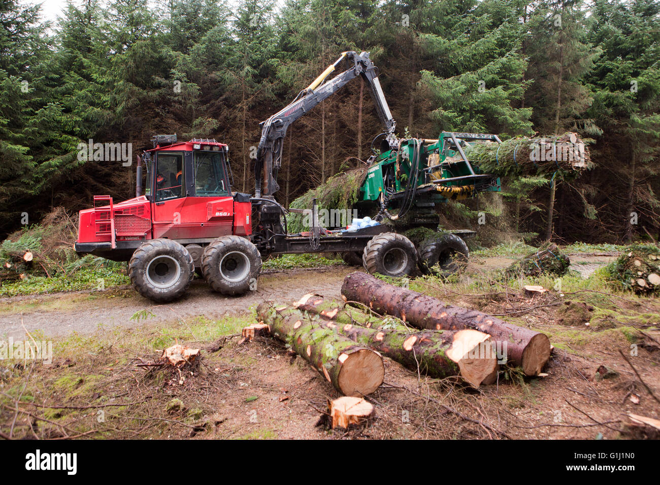 Une ramasseuse-presse Brash au travail sur les terrains de la Commission forestière près de Neath au Pays de Galles. Banque D'Images