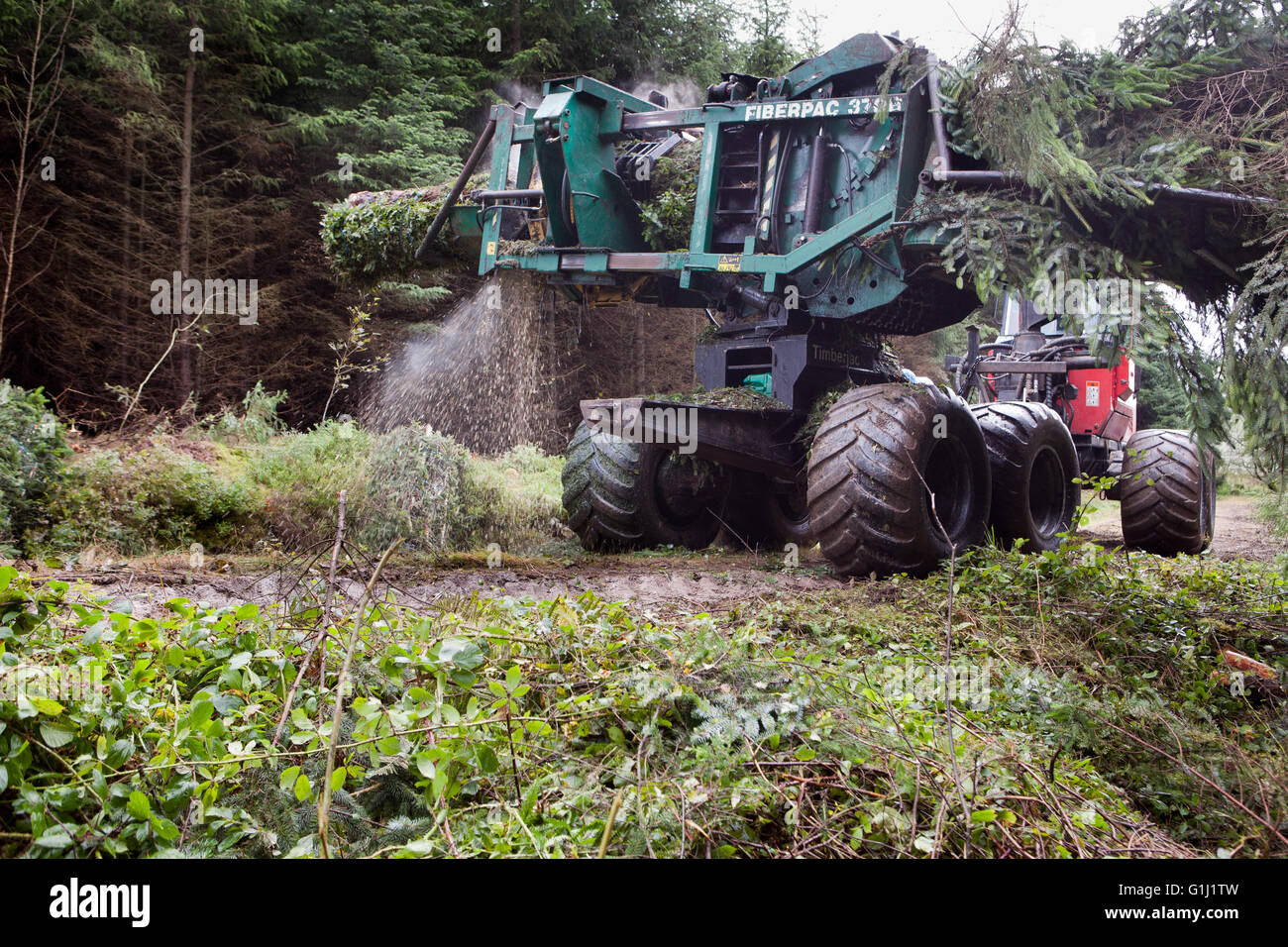 Une ramasseuse-presse Brash au travail sur les terrains de la Commission forestière près de Neath au Pays de Galles. Banque D'Images