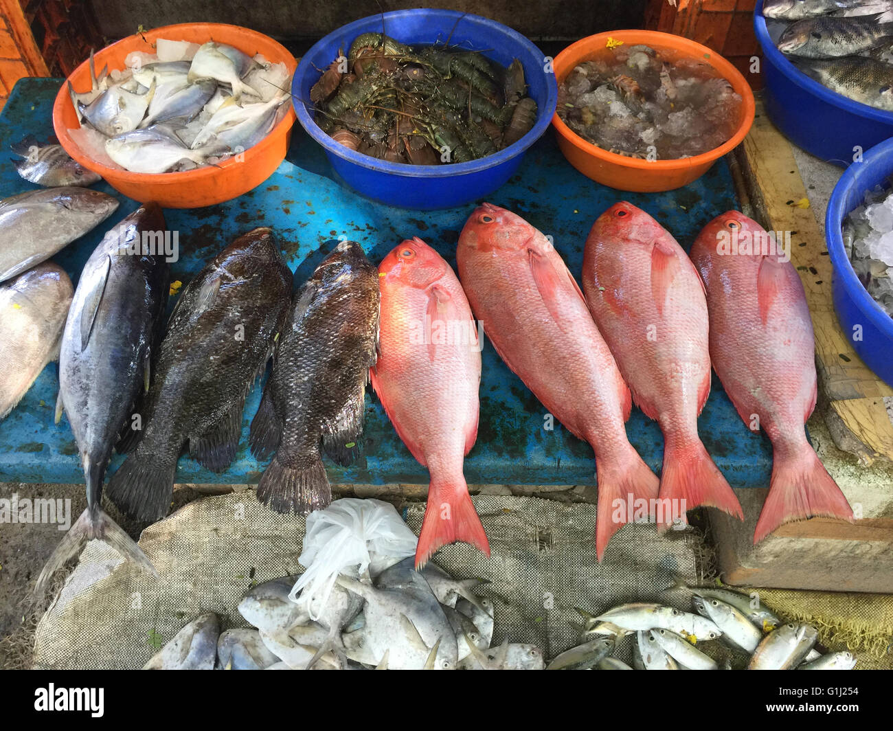 Pêchez sur le marché local, Kerala, côte de Malabar, Inde Banque D'Images