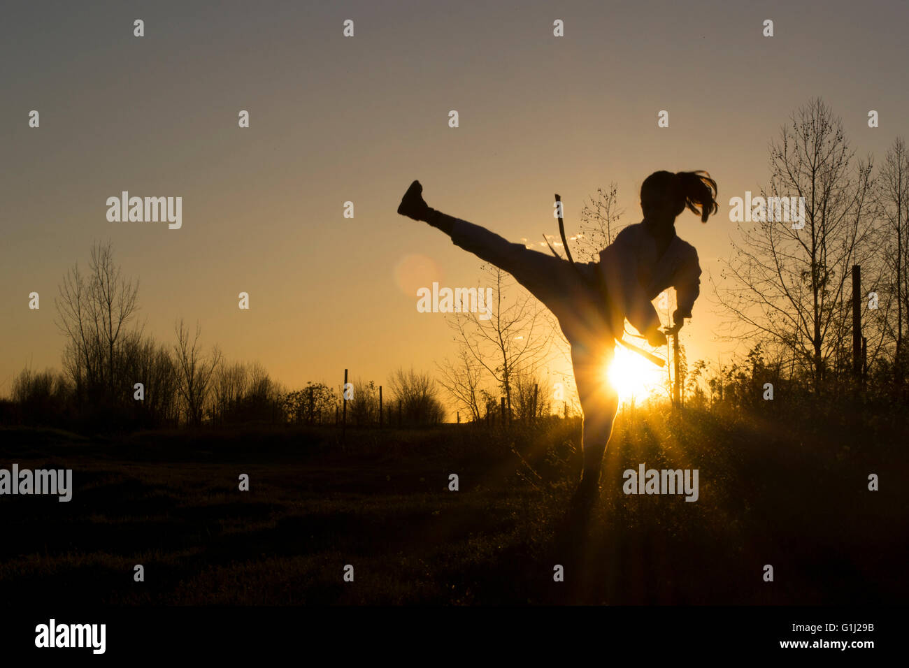 Silhouette d'une jeune fille pratiquant le taekwondo art martial Banque D'Images