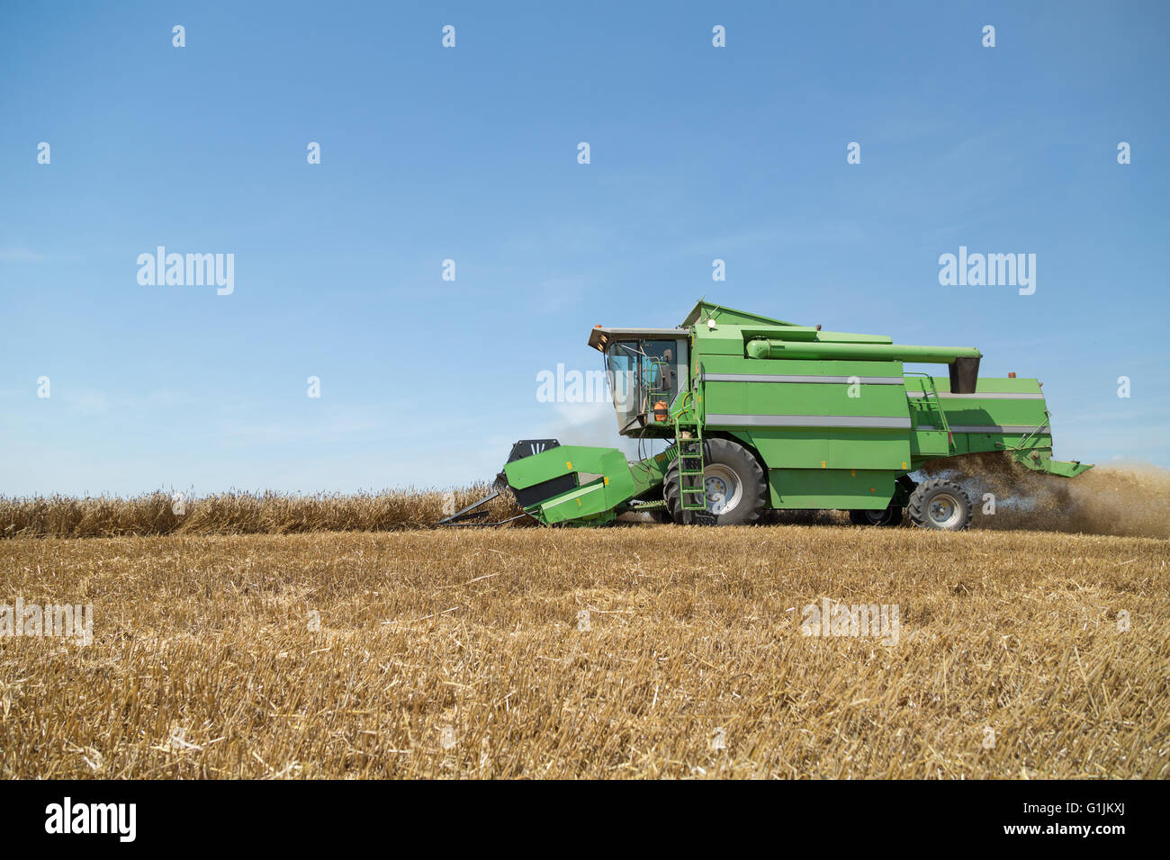 Moissonneuse batteuse en action sur le champ de blé Banque D'Images