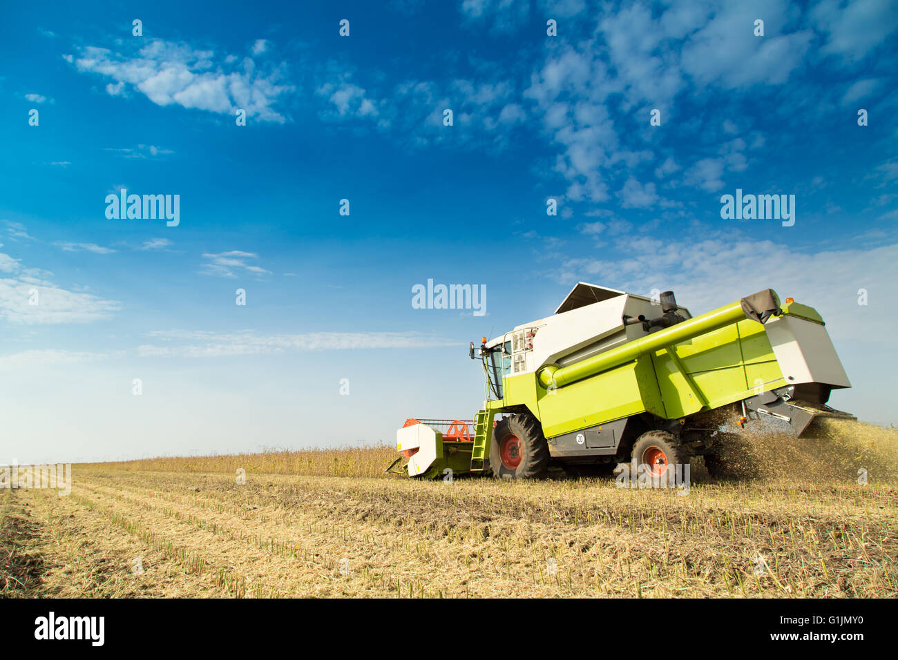 La récolte à la moissonneuse-batteuse au champ de soja Banque D'Images