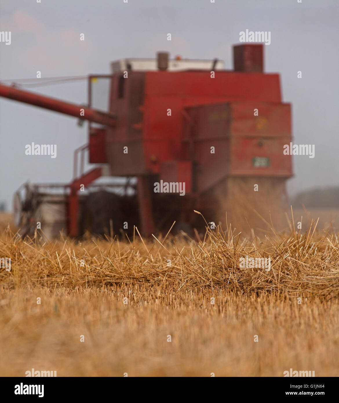 Harvester en action sur le champ de blé. Banque D'Images