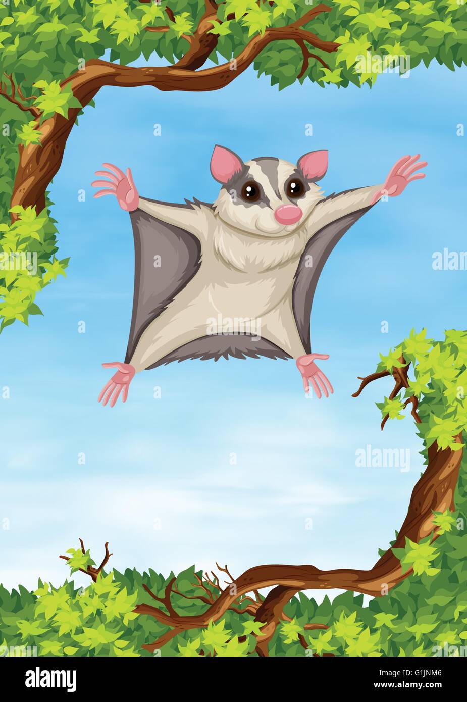 Sugar Glider flying sur l'illustration de l'arbre Illustration de Vecteur