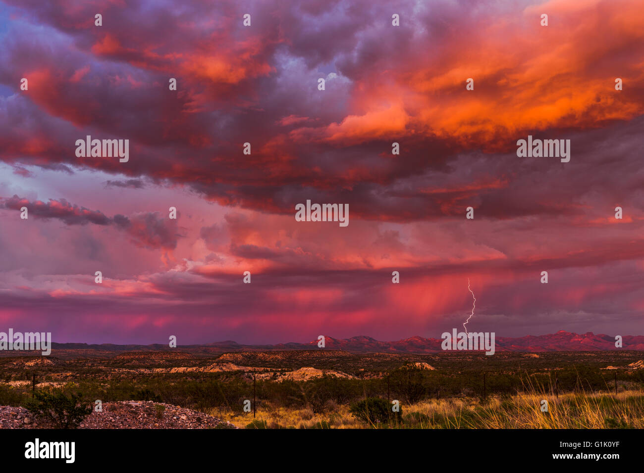 Des nuages spectaculaires et un ciel de coucher de soleil avec la foudre d'une tempête de mousson près de San Carlos, Arizona. Banque D'Images