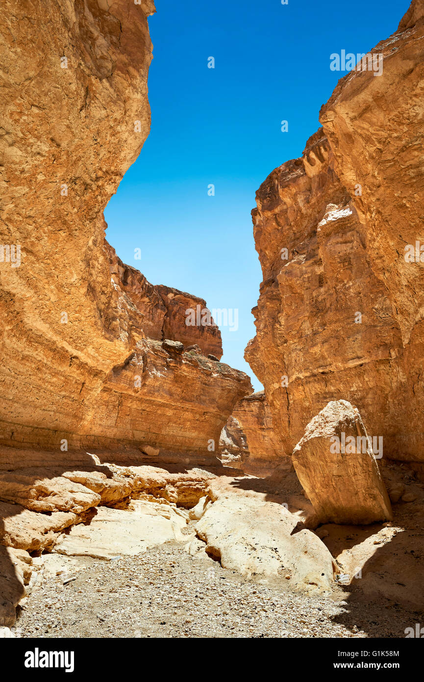 Le désert près du canyon de Mides oasis du Sahara, Tunisie, Afrique du Nord Banque D'Images