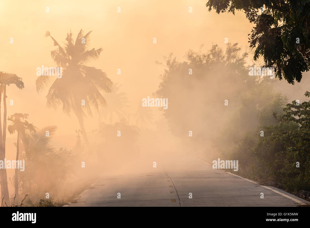 Herbe à côté de l'incendie, qui a provoqué un fort vent pour faire de la fumée tertiaire pollue l'environnement. Banque D'Images