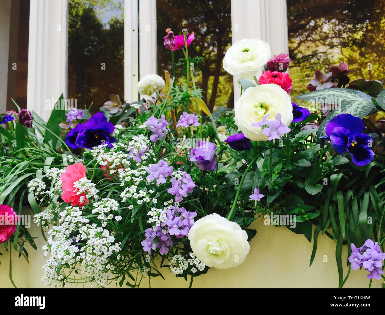 Les fleurs de printemps dans Flowerboxs privé, de l'Upper East Side, NEW YORK, USA Banque D'Images