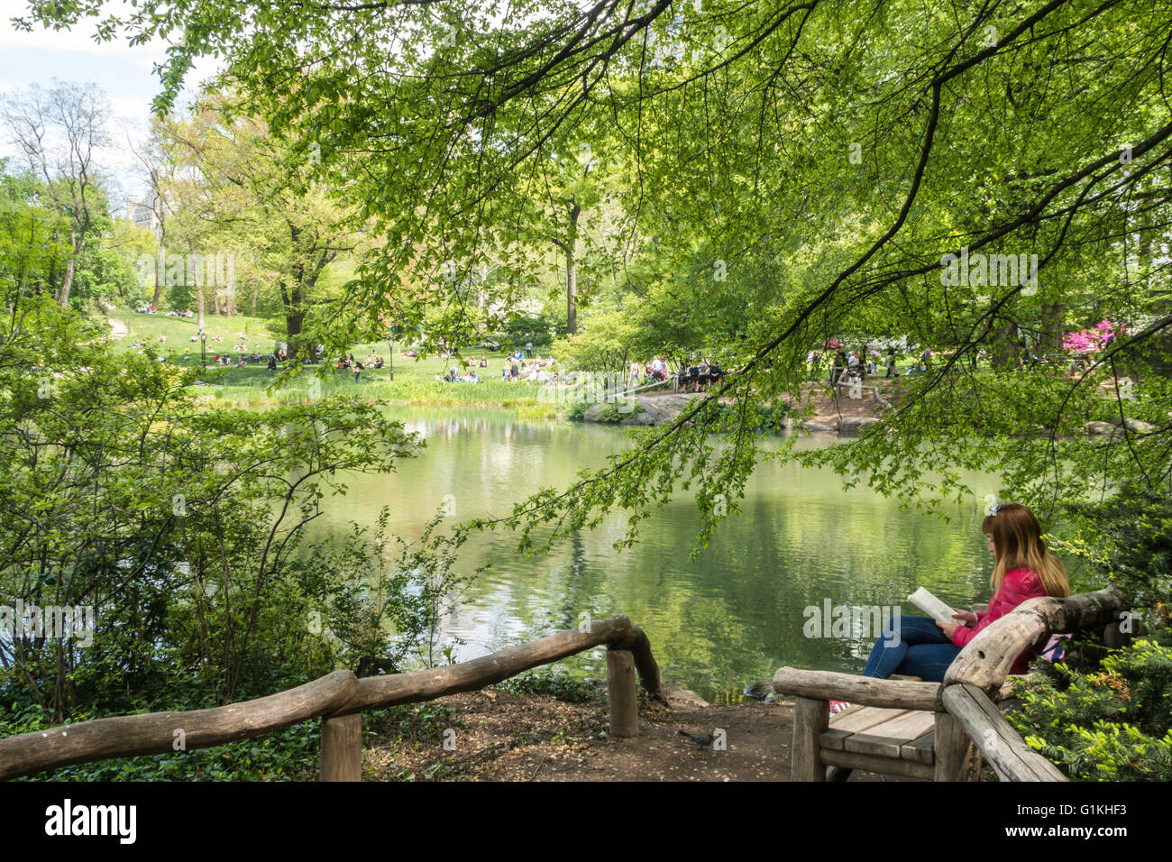 Femme lisant un livre sur le banc en bois, l'étang, Central Park, NYC, USA Banque D'Images