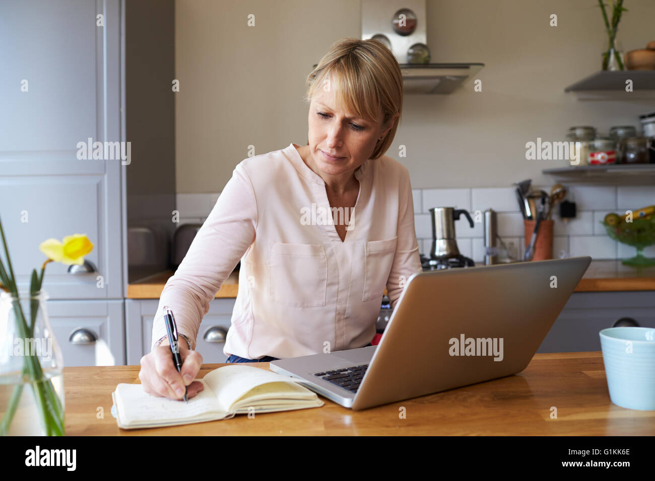 Femme Travail à domicile sur ordinateur portable en appartement moderne Banque D'Images