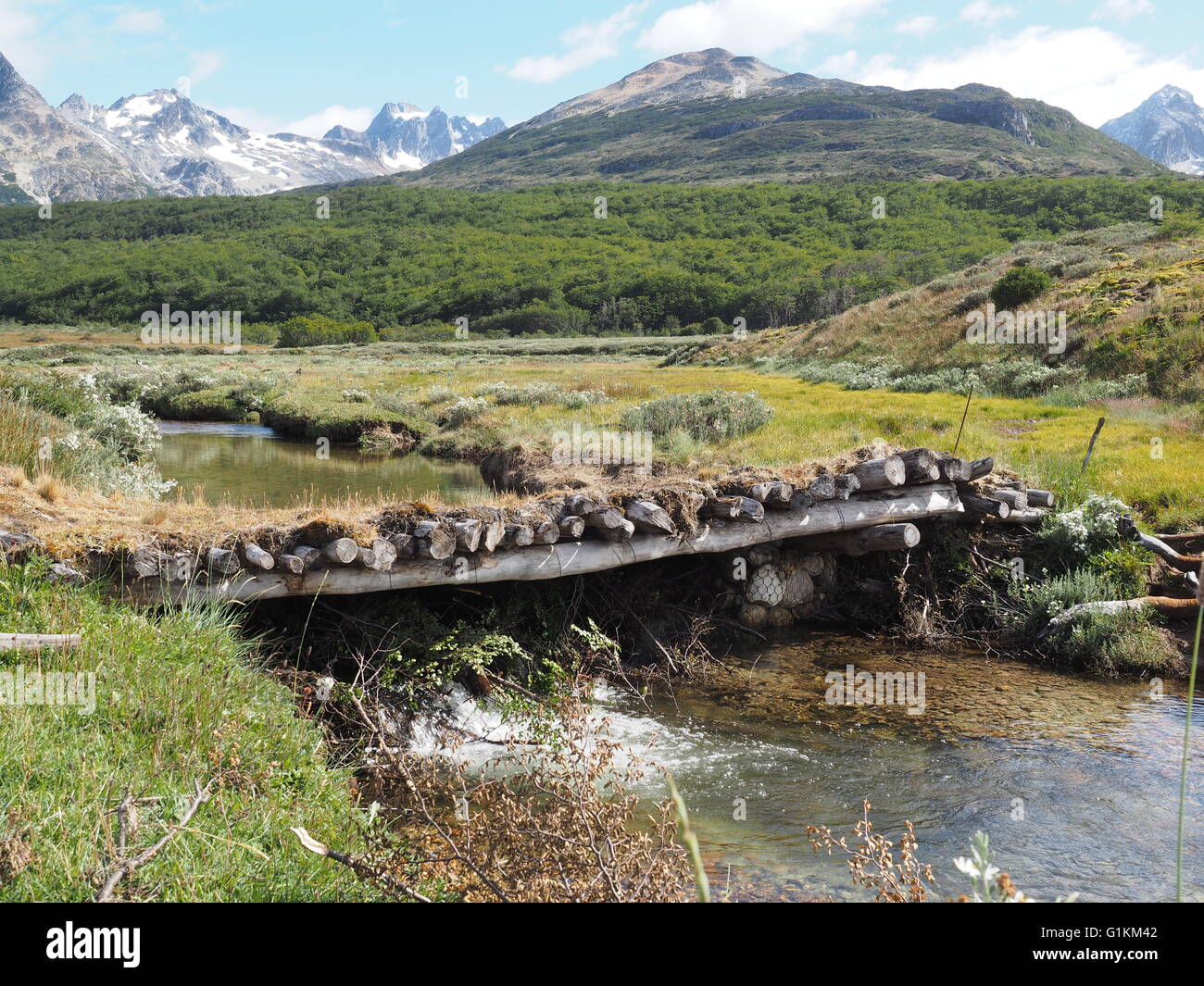 Journal d'un velours côtelé de pont sur un ruisseau dans la Tierra Mayor Parc Naturel, avec une forêt sub-antarctiques et la Mountians Alvear Banque D'Images