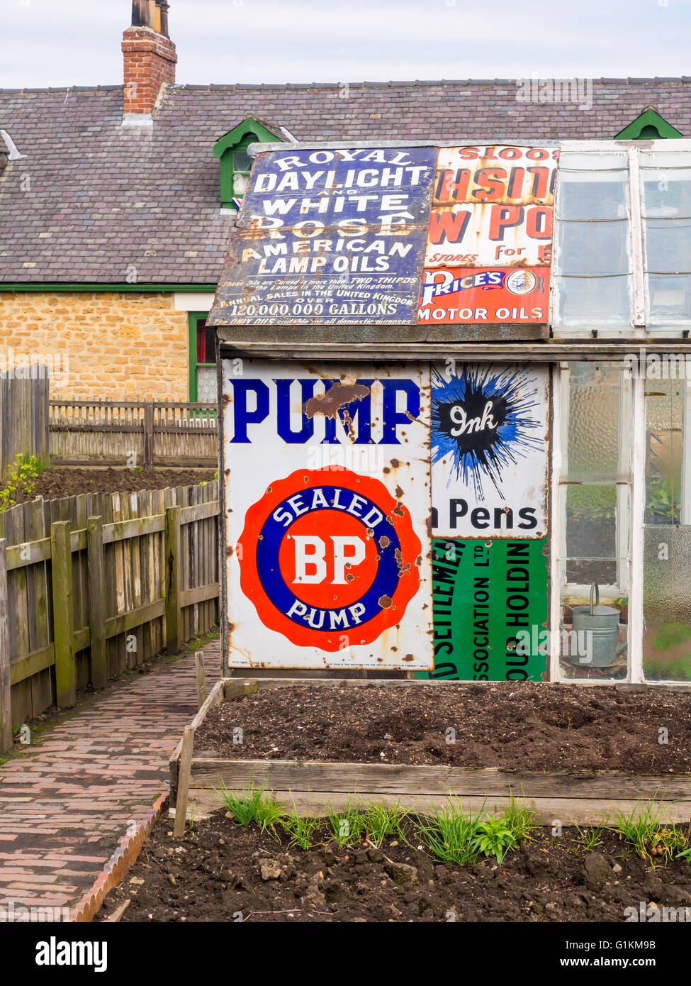 Une serre réparés avec des panneaux publicitaires émaillés dans un cottage de mineur potager dans la fosse village musée Beamish Banque D'Images