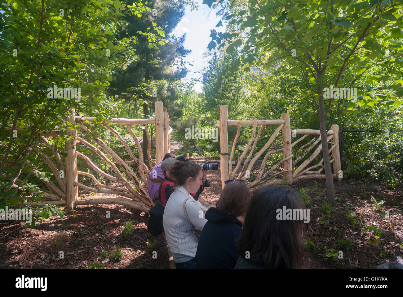 Les visiteurs font la queue pour entrer dans le sanctuaire de la nature Hallett Central Park à New York le lundi 16 mai 2016. Fermé depuis 1934, le paysage naturel de 4 hectares au milieu de la ville est un sanctuaire d'oiseaux et sera ouverte pour un temps limité au public seulement 20 personnes entrant à la fois. Des centaines alignés pour être laissé en pour admirer le paysage. (© Richard B. Levine) Banque D'Images