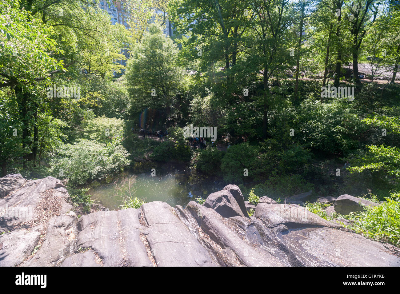 La vue depuis le haut de la cascade dans le sanctuaire naturel de Hallett, Central Park à New York le lundi 16 mai 2016. Fermé depuis 1934, le paysage naturel de 4 hectares au milieu de la ville est un sanctuaire d'oiseaux et sera ouverte pour un temps limité au public seulement 20 personnes entrant à la fois. Des centaines alignés pour être laissé en pour admirer le paysage. (© Richard B. Levine) Banque D'Images