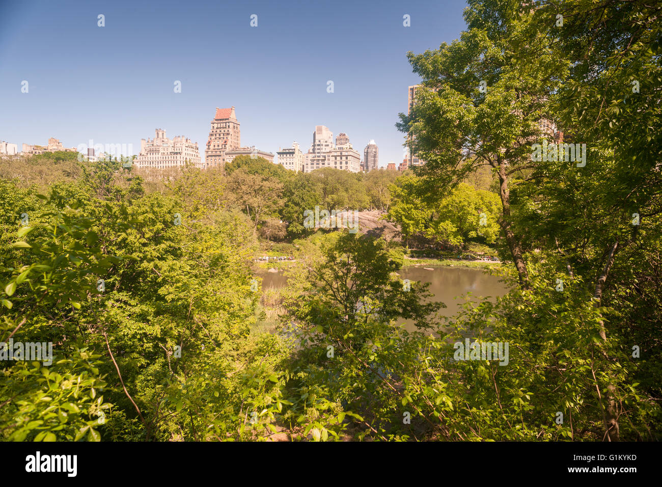 La vue sur la Cinquième Avenue à partir du point le plus haut dans le sanctuaire naturel Hallett dans Central Park à New York le lundi 16 mai 2016. Fermé depuis 1934, le paysage naturel de 4 hectares au milieu de la ville est un sanctuaire d'oiseaux et sera ouverte pour un temps limité au public seulement 20 personnes entrant à la fois. Des centaines alignés pour être laissé en pour admirer le paysage. (© Richard B. Levine) Banque D'Images