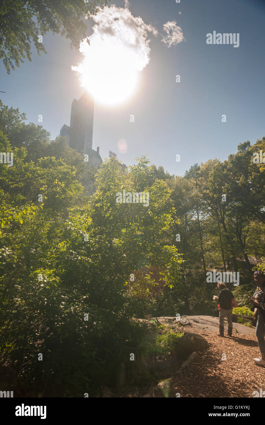 La supertower Un57 domine le sanctuaire naturel Hallett et Central Park à New York le lundi 16 mai 2016. Fermé depuis 1934, le paysage naturel de 4 hectares au milieu de la ville est un sanctuaire d'oiseaux et sera ouverte pour un temps limité au public seulement 20 personnes entrant à la fois. Des centaines alignés pour être laissé en pour admirer le paysage. (© Richard B. Levine) Banque D'Images
