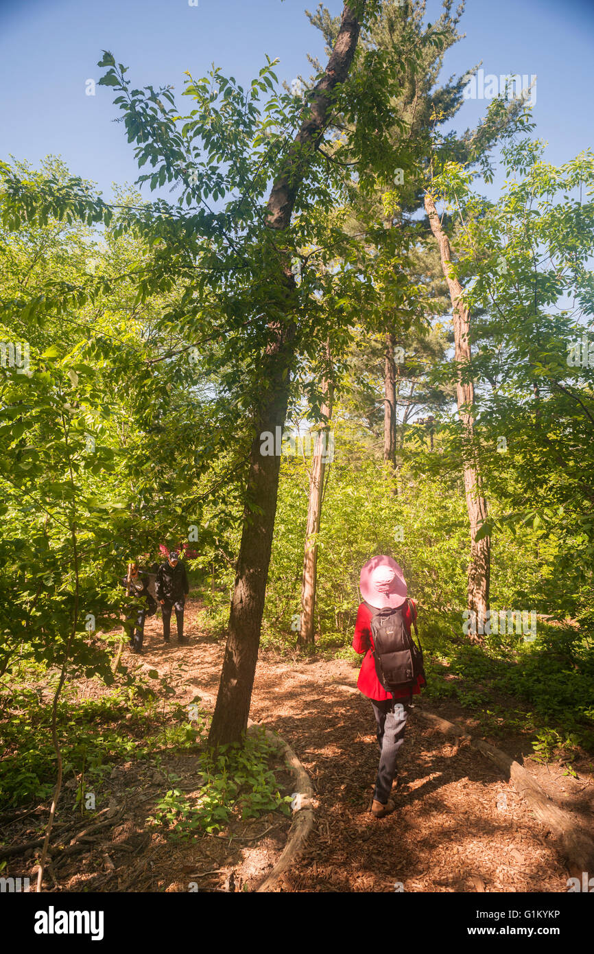 Les visiteurs apprécient la nature Hallett sanctuaire dans Central Park à New York le lundi 16 mai 2016. Fermé depuis 1934, le paysage naturel de 4 hectares au milieu de la ville est un sanctuaire d'oiseaux et sera ouverte pour un temps limité au public seulement 20 personnes entrant à la fois. Des centaines alignés pour être laissé en pour admirer le paysage. (© Richard B. Levine) Banque D'Images