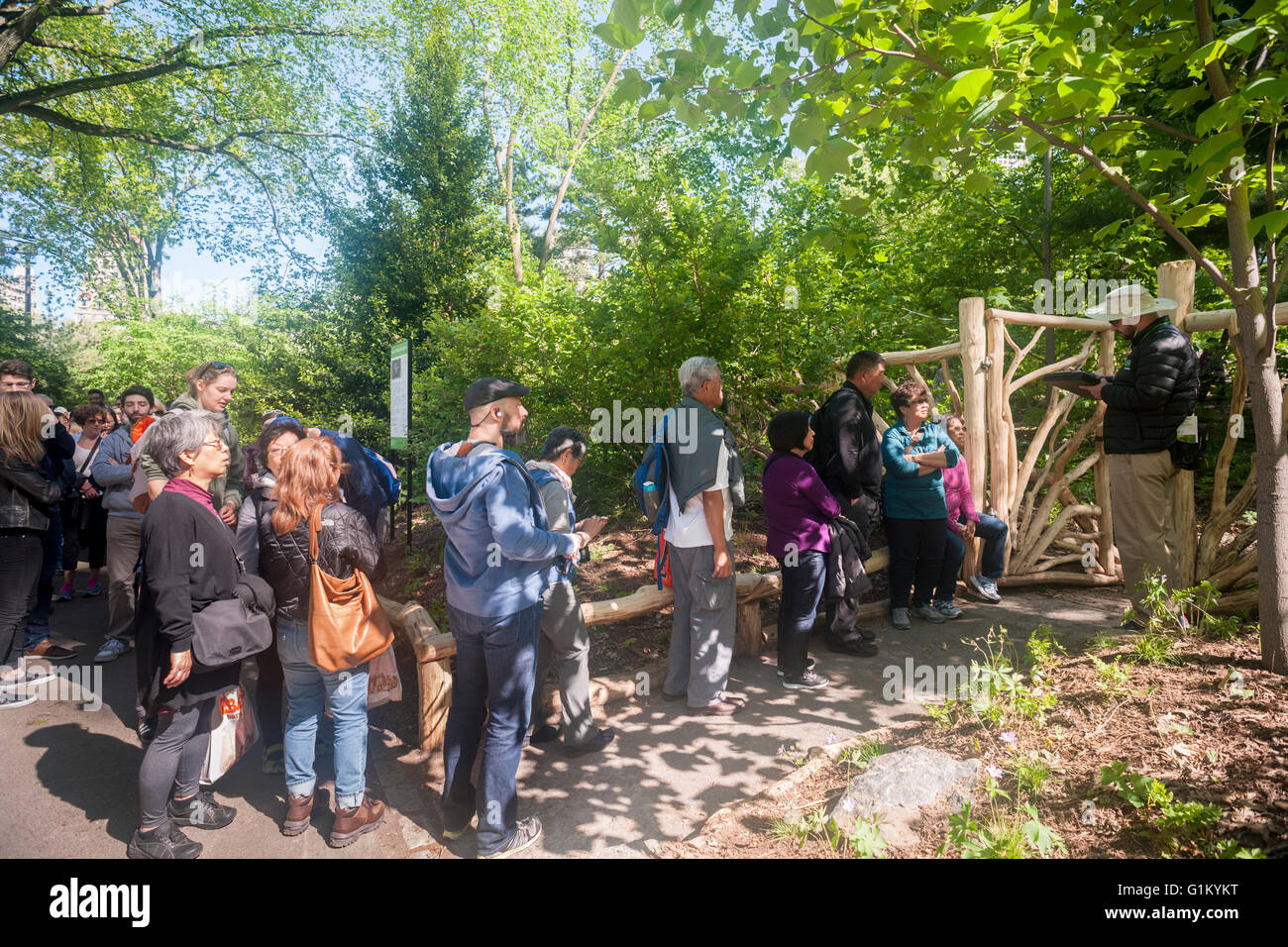 Les visiteurs font la queue pour entrer dans le sanctuaire de la nature Hallett Central Park à New York le lundi 16 mai 2016. Fermé depuis 1934, le paysage naturel de 4 hectares au milieu de la ville est un sanctuaire d'oiseaux et sera ouverte pour un temps limité au public seulement 20 personnes entrant à la fois. Des centaines alignés pour être laissé en pour admirer le paysage. (© Richard B. Levine) Banque D'Images