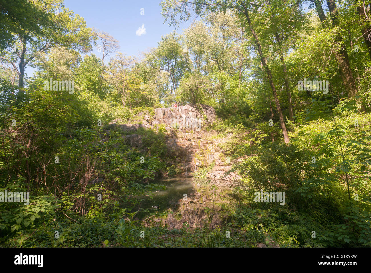 La cascade de la Réserve Naturelle de Hallett dans Central Park à New York le lundi 16 mai 2016. Fermé depuis 1934, le paysage naturel de 4 hectares au milieu de la ville est un sanctuaire d'oiseaux et sera ouverte pour un temps limité au public seulement 20 personnes entrant à la fois. Des centaines alignés pour être laissé en pour admirer le paysage. (© Richard B. Levine) Banque D'Images