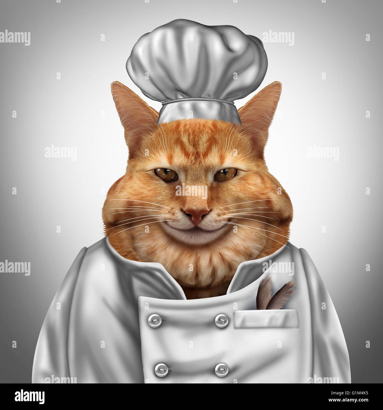 Chef de chat comme un concept d'humour félin gras portant un uniforme de cuisinier avec des plumes dans une poche en tant que vétérinaire pet nutrition symbole avec illustration 3D elememnts. Banque D'Images
