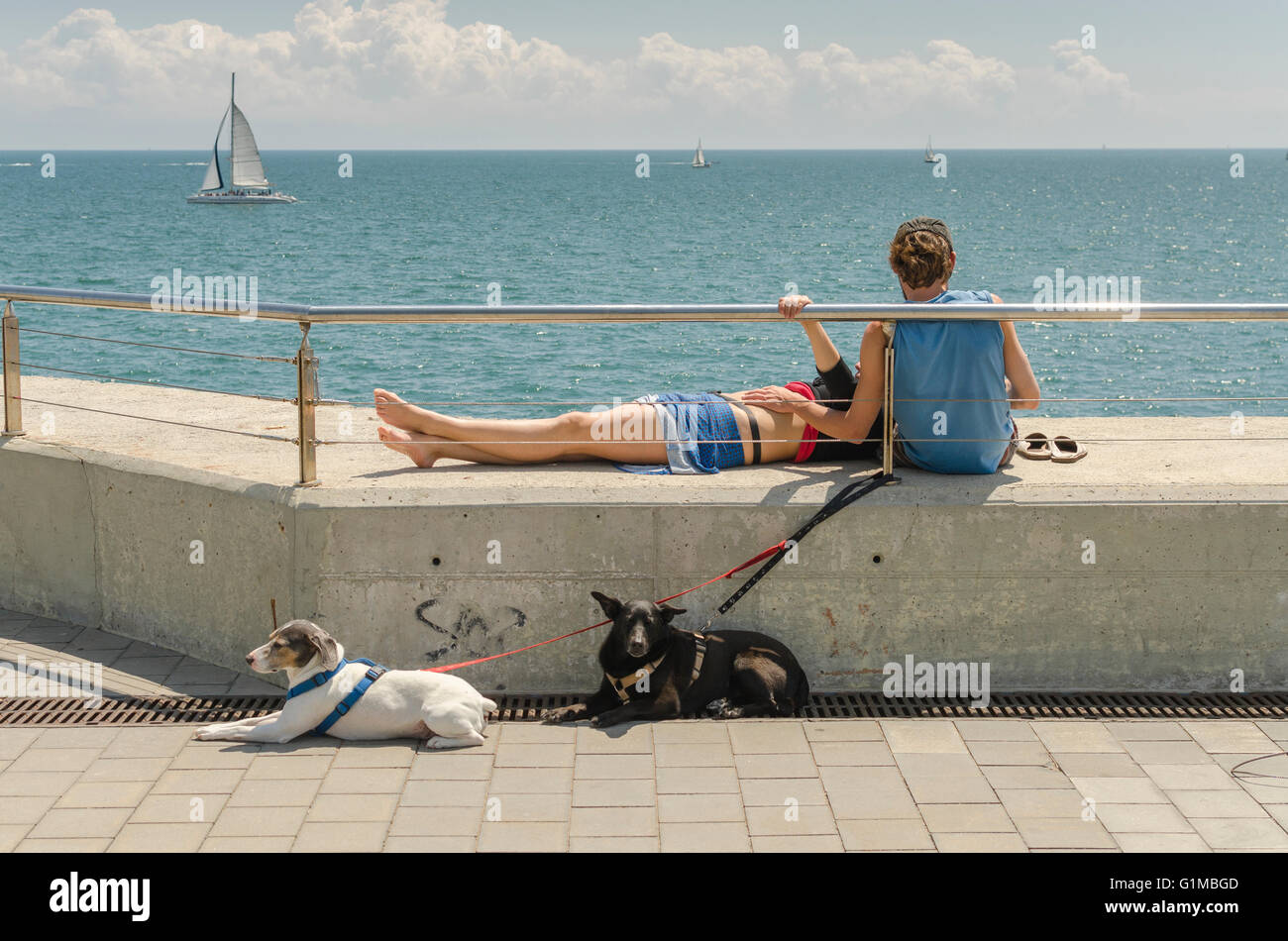 Dimanche matin. Un couple avec vos vélos et chiens se détendre face à la mer Banque D'Images
