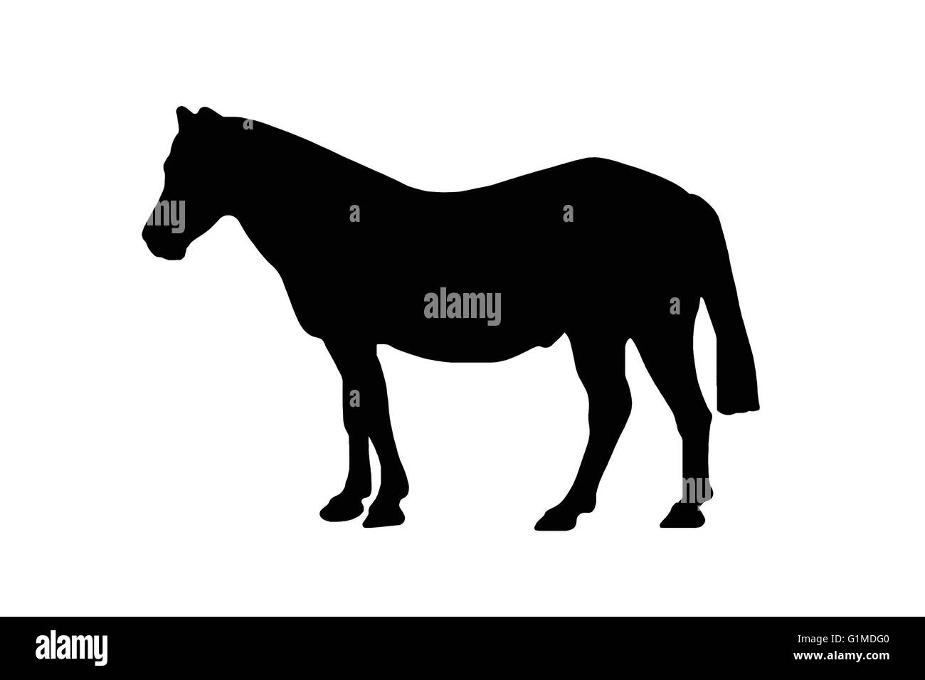 Un cheval ou poney illustré en noir et blanc ou comme une silhouette. Banque D'Images