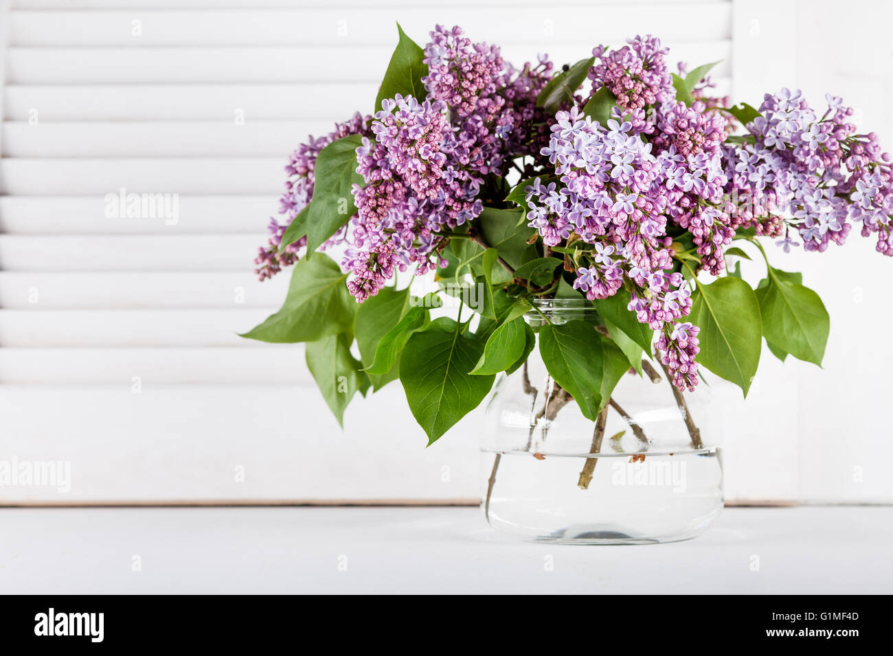 Fleurs lilas mauve vase en verre à fond avec volets blancs Banque D'Images
