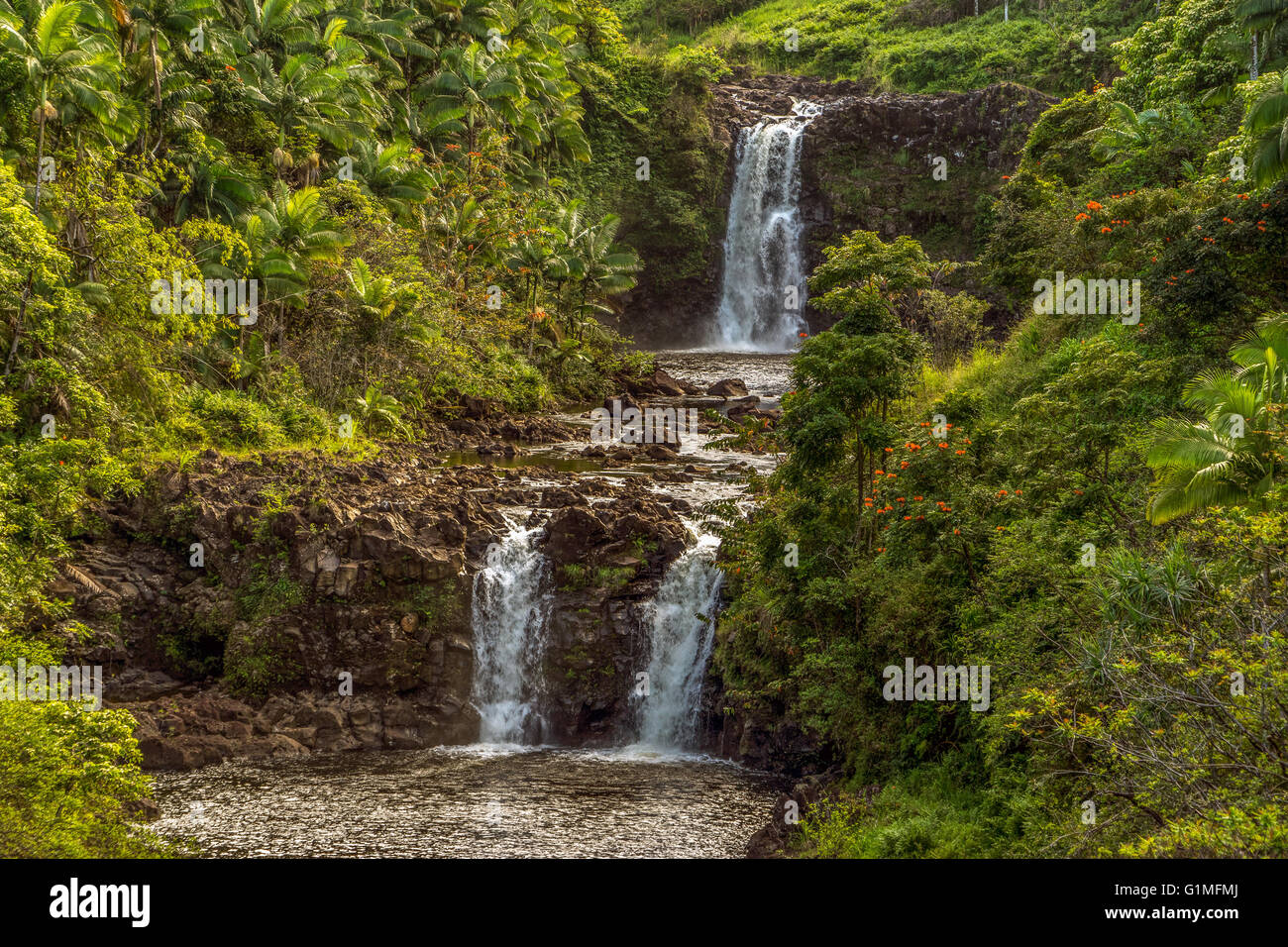 Umuauma falls situé à 16 miles au nord de Hilo sur la grande île d'Hawaï. Banque D'Images