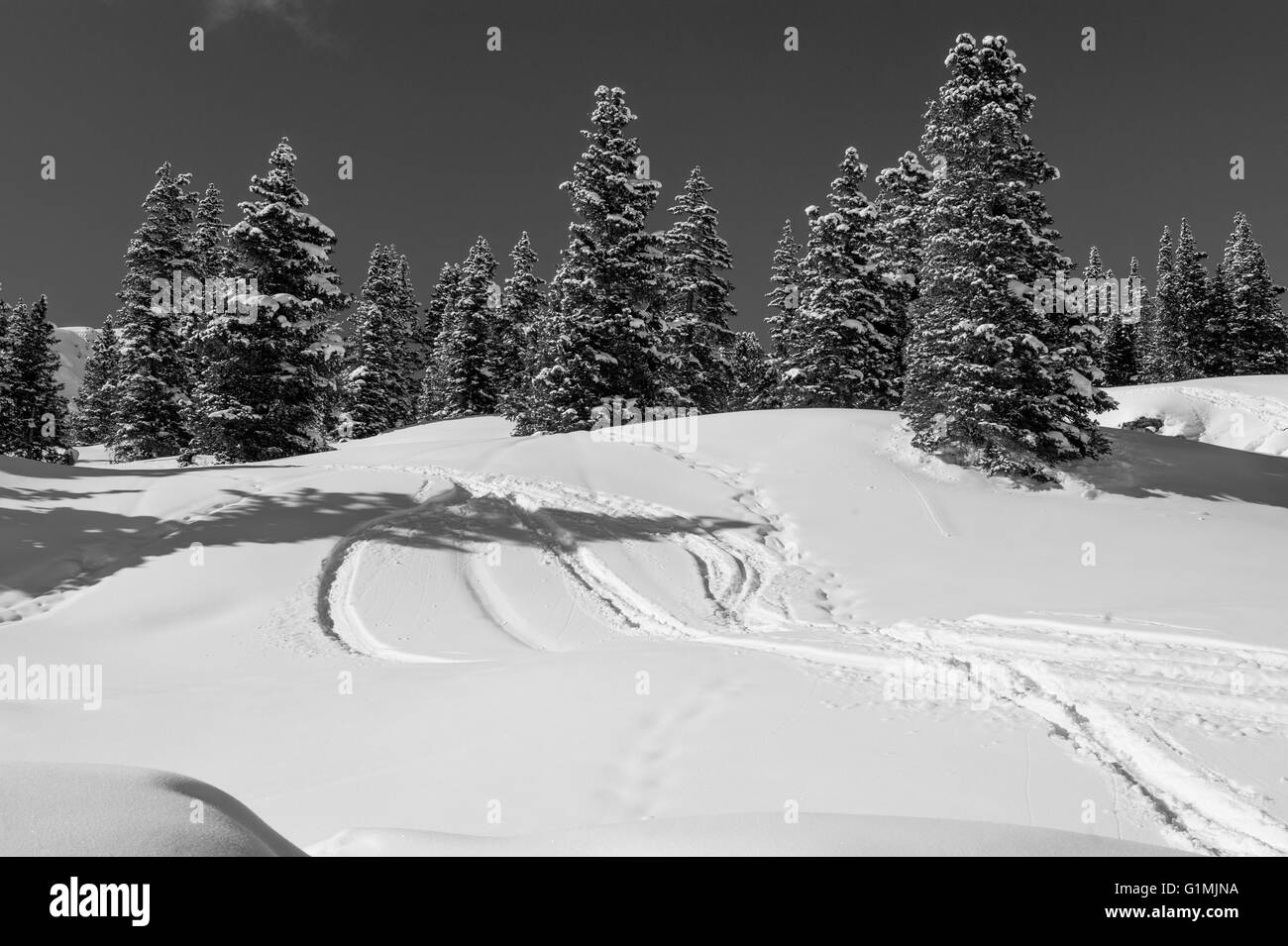 Traces laissées derrière dans la neige de personnes s'amusant à Red Mountain Pass, Colorado Banque D'Images