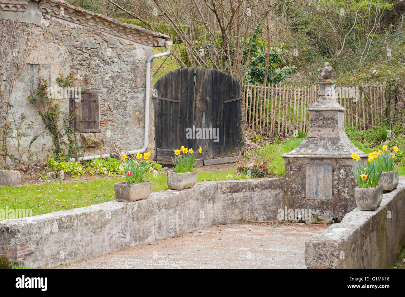 Ancienne fontaine avec jonquilles jaune et rouge dans une pierre jardinières à la ville médiévale de Labastide d'Armagnac. La France. Banque D'Images