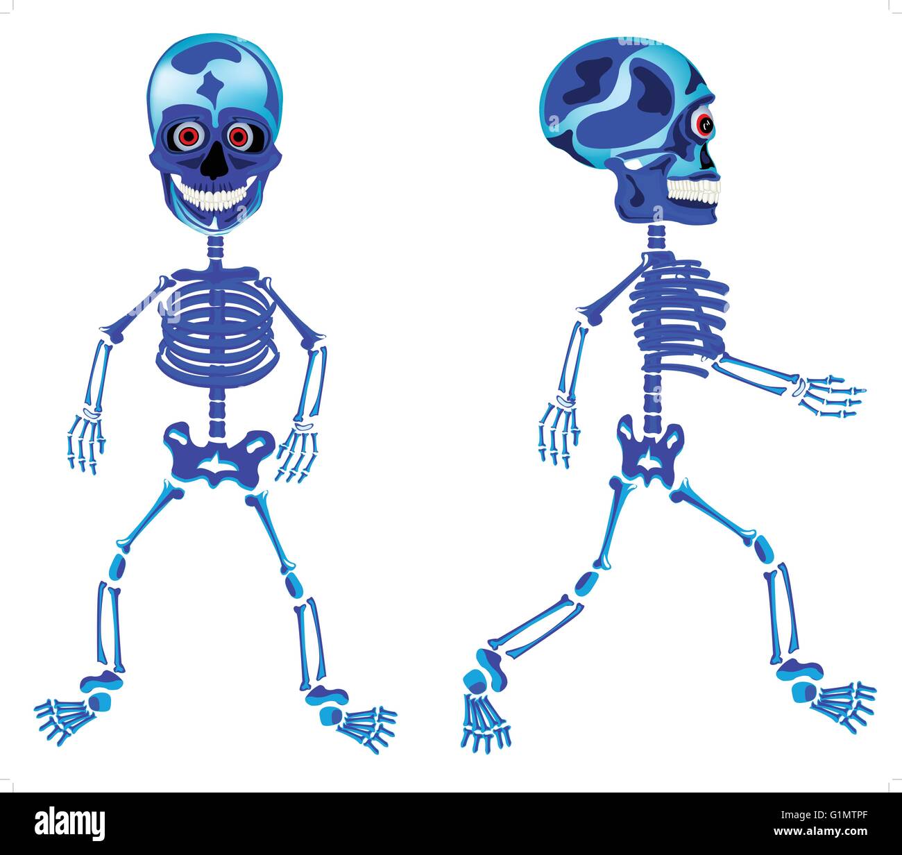 Deux squelettes de marche est isolé sur fond blanc Illustration de Vecteur