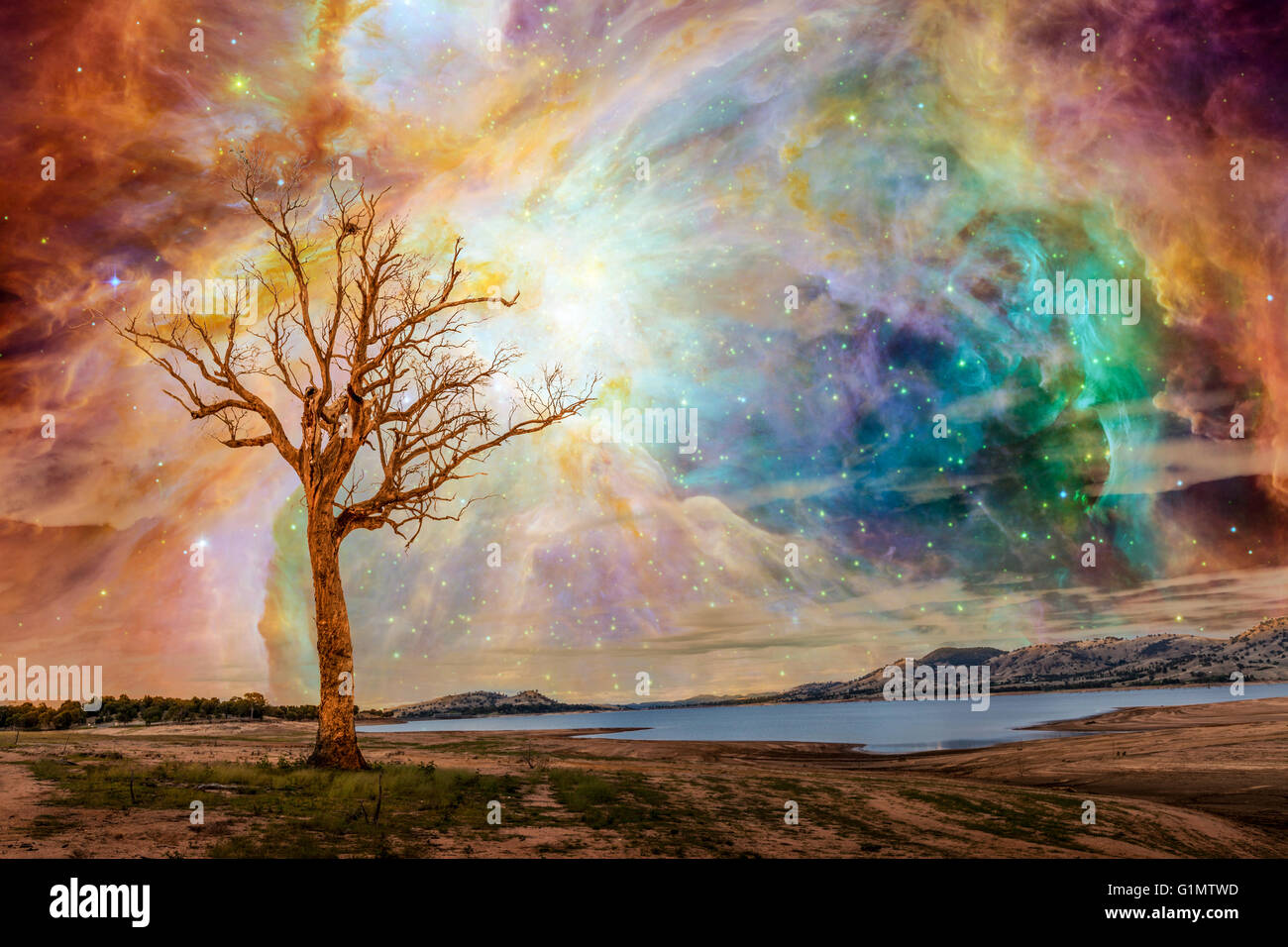 Paysage fantastique planète étrangère. Comité permanent de l'arbre près du lac avec des étoiles et galaxies brillant dans le ciel. Éléments de cette image Banque D'Images