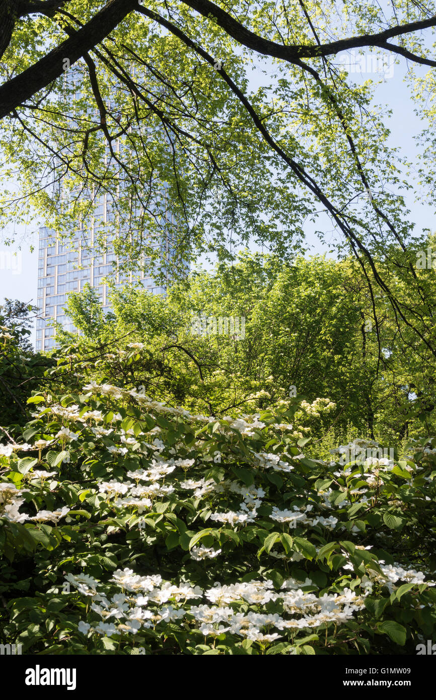 Le Conservatory Garden, Central Park, NYC Banque D'Images