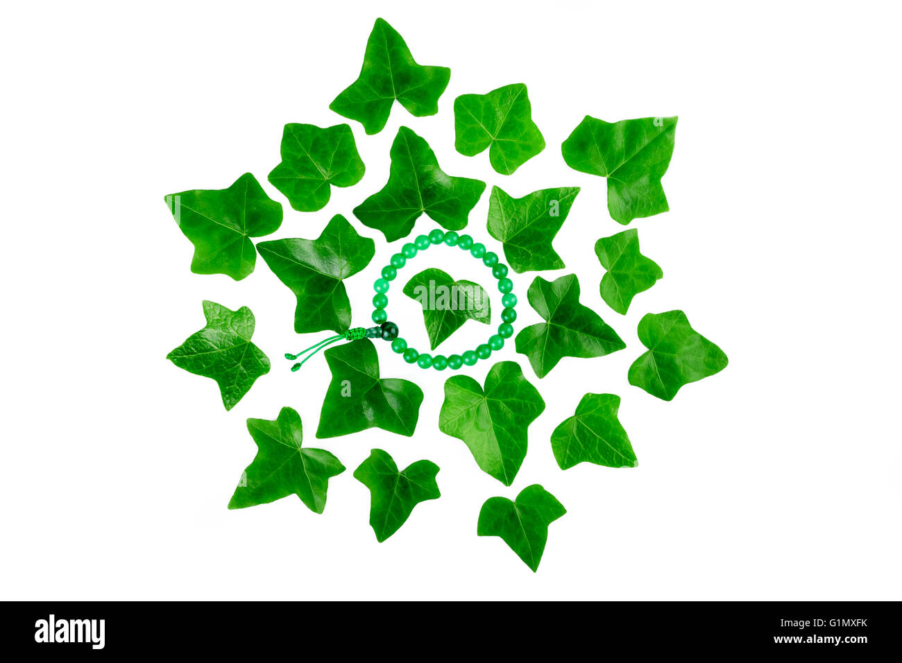 Configuration des feuilles de lierre vert plante avec bracelet mala sur fond blanc. Mise à plat, vue du dessus. Banque D'Images