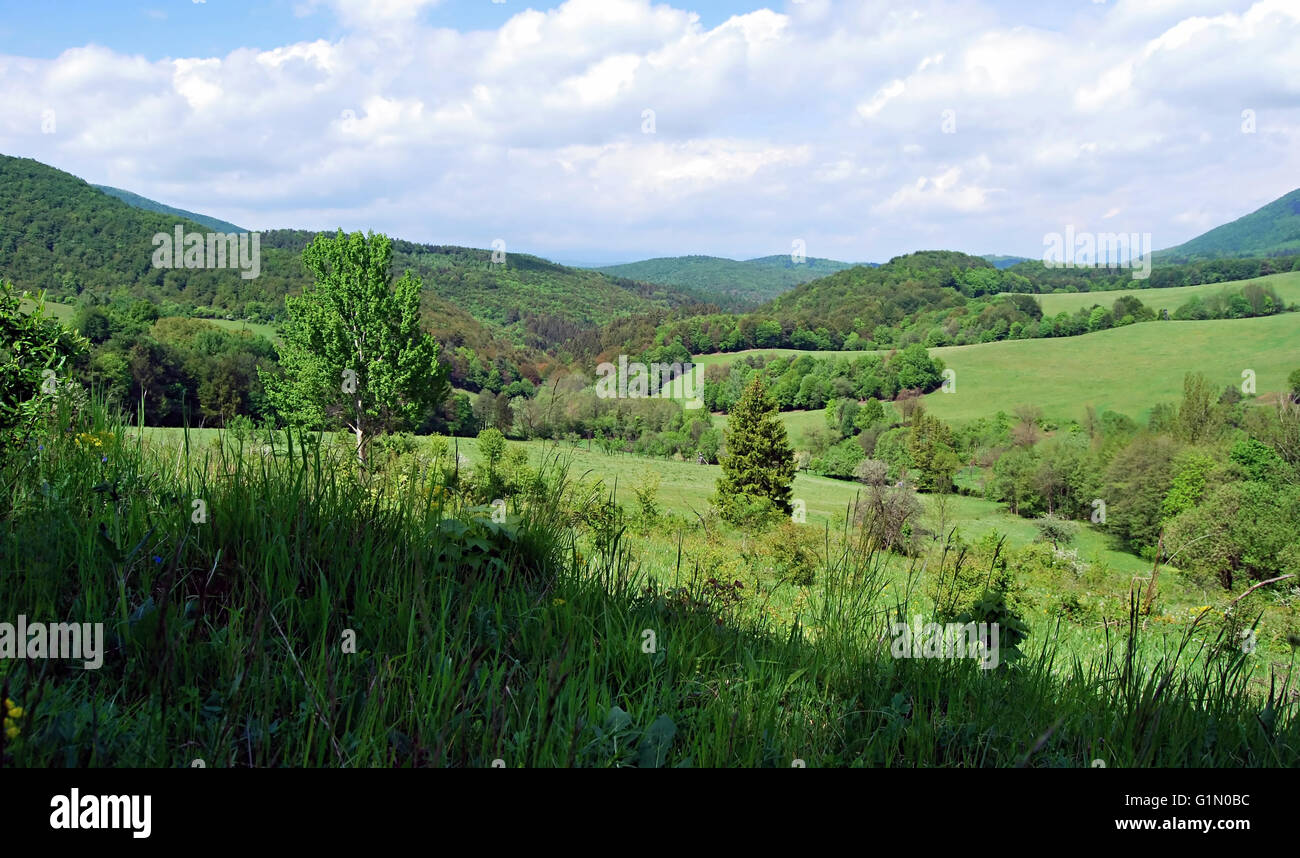 Spring Mountain prairie avec arbres et arbustes isolés dans Strazovske vrchy montagnes en Slovaquie Banque D'Images