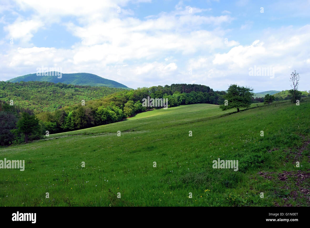 Printemps prairie avec des arbres isolés et des collines de l'arrière-plan dans Ladce Strazovske vrchy montagnes au-dessus de village de Povazie Banque D'Images