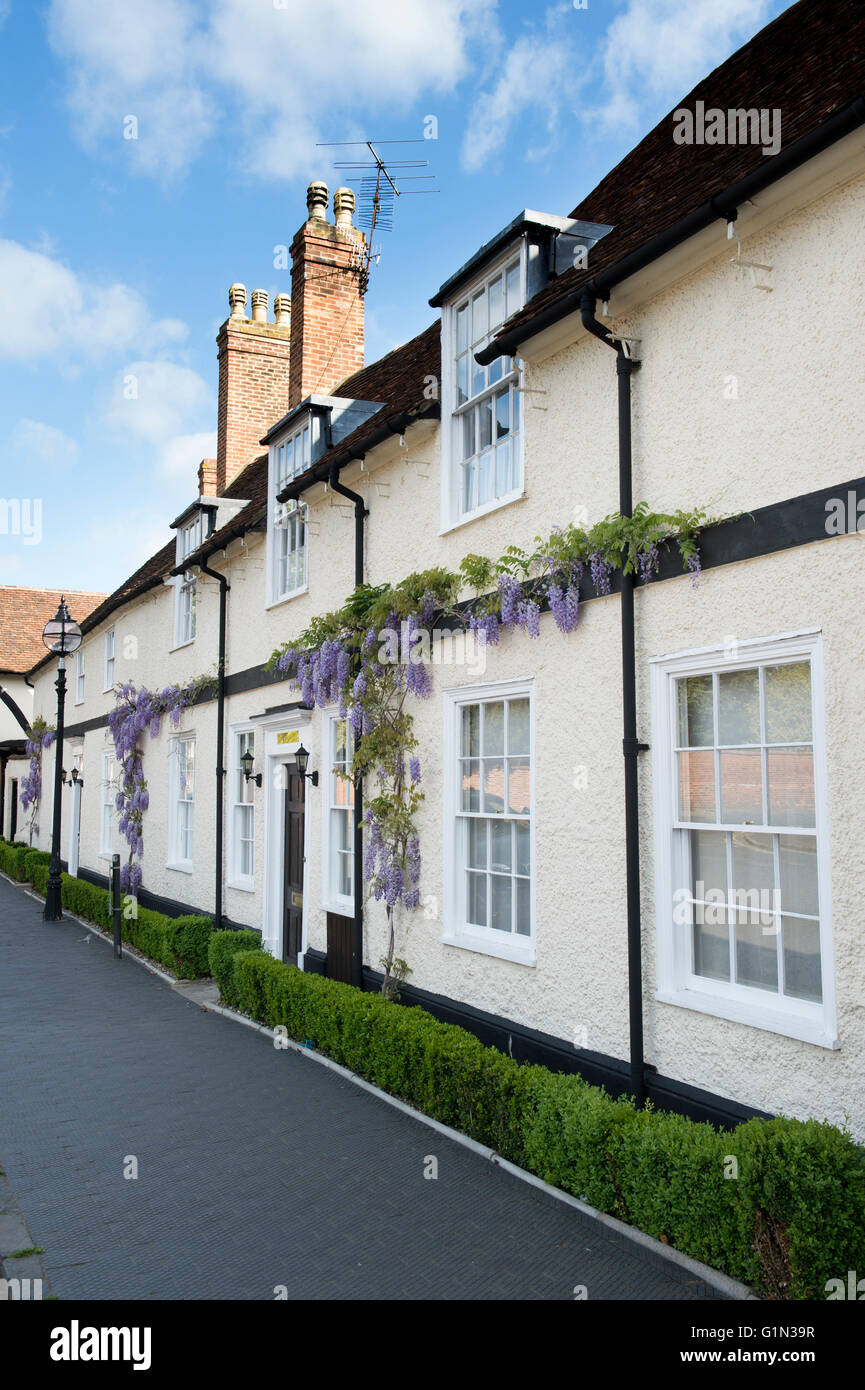 Noir et blanc sur la glycine de cottages à Stratford upon Avon, Warwickshire, Angleterre Banque D'Images